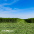 products/IndiNature_IndiTherm_lifestyle_field.png